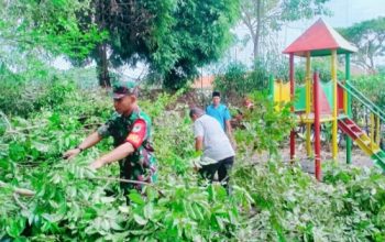 Babinsa Koramil 2303/Pulomerak Bersama Warga Gelar Karya Bakti, Dari Pengurukan Lahan Hingga Pangkas Pohon Rawan Tumbang
