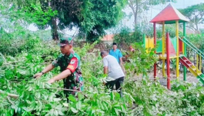 Babinsa Koramil 2303/Pulomerak Bersama Warga Gelar Karya Bakti, Dari Pengurukan Lahan Hingga Pangkas Pohon Rawan Tumbang