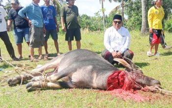 Sejak 2017 Konsisten Berkurban, H. Habibbudin : Kebahagiaan Terbesar Saat Warga Tersenyum