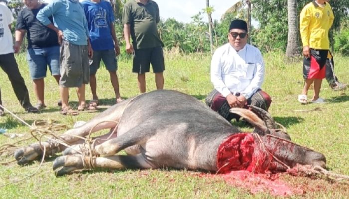 Sejak 2017 Konsisten Berkurban, H. Habibbudin : Kebahagiaan Terbesar Saat Warga Tersenyum