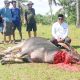 Sejak 2017 Konsisten Berkurban, H. Habibbudin : Kebahagiaan Terbesar Saat Warga Tersenyum