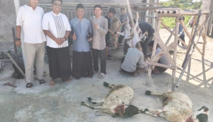 Sambut Idul Adha 1447 H, Owner PT Arka Putra Bagikan Kurban dan Rezeki untuk Warga Hingga Penonton TikTok