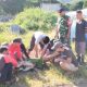 Babinsa Koramil 2303/Pulomerak Monitoring Kurban dan Ketahanan Pangan di Wilayah Binaan