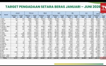 Tertinggi Sepanjang Sejarah, Cadangan Beras Pemerintah Kini Sentuh 5,37 juta Ton