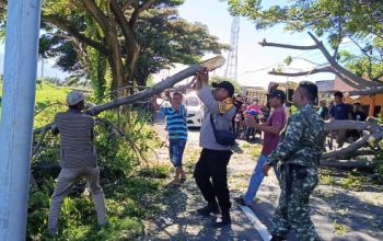 Pohon Cina Tumbang Halangi Jalan Poros Jeneponto–Bantaeng, Polsek Batang Bersama TNI dan Warga Segera Bersihkan