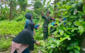 Babinsa Koramil 2303/Pulomerak Gencarkan Karya Bhakti, Bersihkan Drainase dan Bantu Pemasangan Paving Blok di Wilayah Binaan