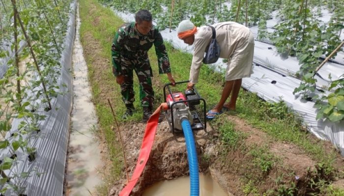 Babinsa Koramil 2305/Cinangka Laksanakan Bintahwil, Latih Disiplin Security dan Dampingi Perawatan Tanaman Kacang