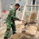 Babinsa Koramil 2305/Cinangka Gelar Karya Bakti, Bantu Pembangunan Rumah Warga dan Pengecoran Gorong-Gorong