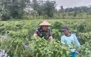 Babinsa Koramil 2301/Cilegon Bersama Forkopimcam Laksanakan Pendataan Ulang Warga Demi Tertib Administrasi