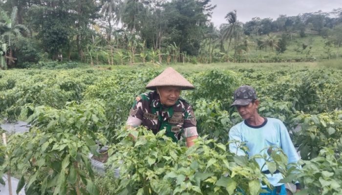 Babinsa Koramil 2301/Cilegon Bersama Forkopimcam Laksanakan Pendataan Ulang Warga Demi Tertib Administrasi