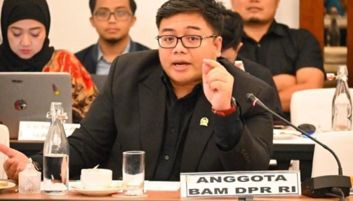 Legislator Partai Gerindra: Jangan Sampai Perusahaan Digital Global Untung Besar, Indonesia Hanya Jadi Pasar