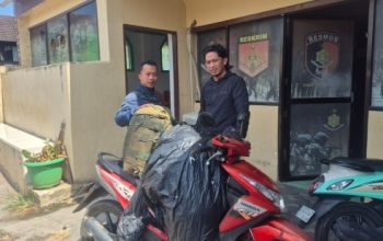 Unit Jatanras Polres Maros Amankan Pria Bawa 100 Liter Miras Jenis Ballo Siap Edar, Bakal Dijual ke Pengecer di Turikale