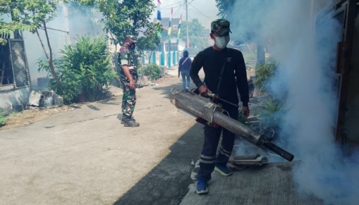 Babinsa Koramil 2302/Bojonegara Tingkatkan Puanter, Dampingi Fogging dan Pantau Harga Sembako