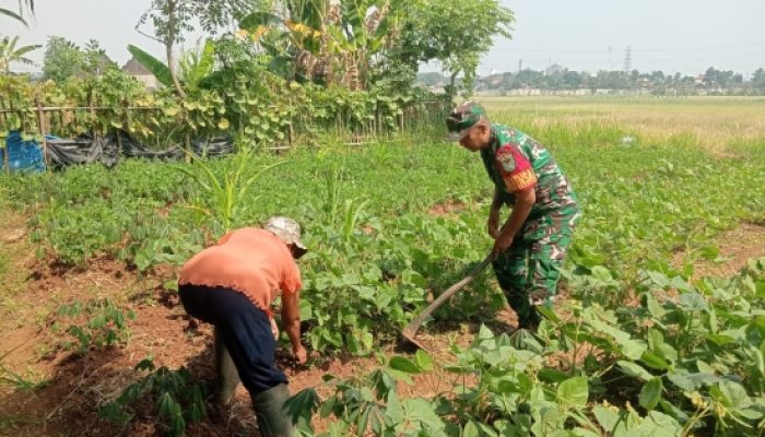 Babinsa Koramil 2303/Pulomerak Dorong Ketahanan Pangan dan Edukasi Hidup Sehat bagi Generasi Muda