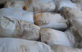 Kasus Dugaan Penyelundupan Timah Tuing Belum Rampung, Nama Akbar Kuday Muncul Dalam Informasi Penyidikan