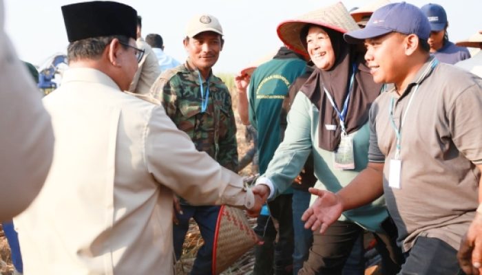 Menanti Hingga Lesu, Buruh Tani Malang Akhirnya Berhasil Salaman dengan Presiden Prabowo di Panen Raya Tebu