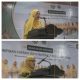Ketua Panitia Milad ke-109 Aisyiyah Bantaeng: Semangat Kebersamaan Kunci Suksesnya Dakwah Kemanusiaan