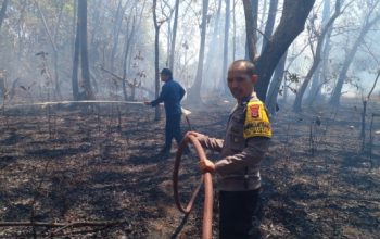 Polisi Di Maros Turut Serta Warga Dan Damkar Padamkan Api Kebakaran Lahan Di Marusu