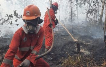 Atasi Karhutla Kalimantan, Modifikasi Cuaca Terus Dioptimalkan