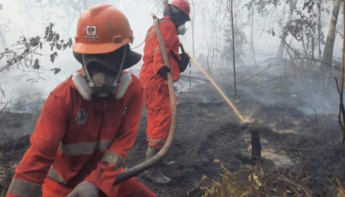 Atasi Karhutla Kalimantan, Modifikasi Cuaca Terus Dioptimalkan