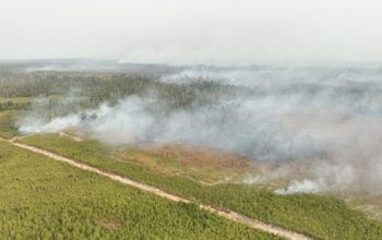 BNPB Perkuat Operasi Udara di Enam Provinsi Prioritas Karhutla