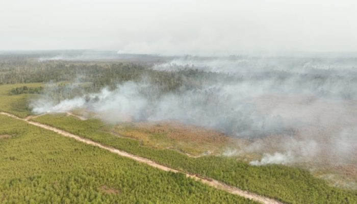 BNPB Perkuat Operasi Udara di Enam Provinsi Prioritas Karhutla