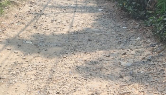 Warga Cipari Cisoka Geram : Jalan Rusak Puluhan Tahun Tak Tersentuh, Pemerintah Dinilai Hanya Datang Mengukur