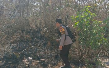 Cegah Api Meluas, Polisi Bersama Warga Padamkan Kebakaran Lahan di Marusu