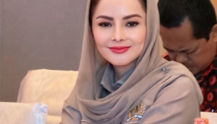Partai Gerindra Sampaikan Duka Musibah KM Virgo Transport 8, Minta Kemenhub Investigasi Kelayakan Armada