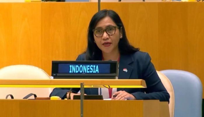 Di Forum PBB, Indonesia Tegaskan Perlindungan Terhadap Hak-hak Warga Sipil di Papua