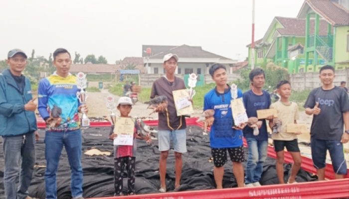 212 Merpati Turun Arena di Cilegon, Hadiah Rp4 Juta Bikin Lapak PMKM Martapura Memanas!