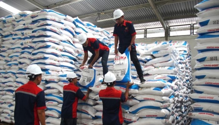 Dua Tahun Pemerintahan Prabowo: Harga Pupuk Turun 20 Persen, Kesejahteraan Petani Meningkat