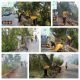 Tak Ingin Bahu Jalan Jadi Tempat Sampah Diwilayahnya , Lurah Maradekaya Gandeng Polsek Pattallassang Gelar Jum’at Bersih